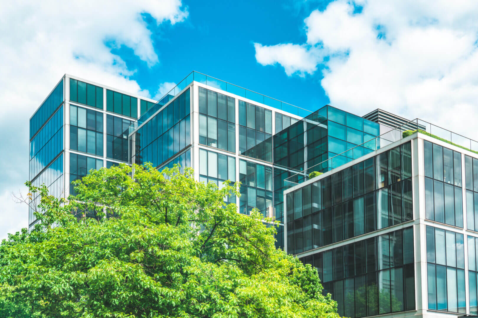 Modern glass building behind lush green trees under a bright blue sky.