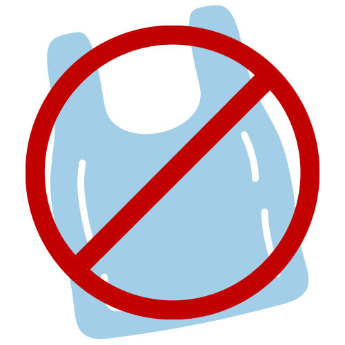 blog_SquareImage_BagIcon